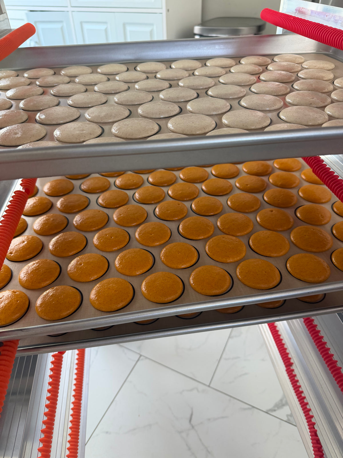 Fall Flavor Macarons