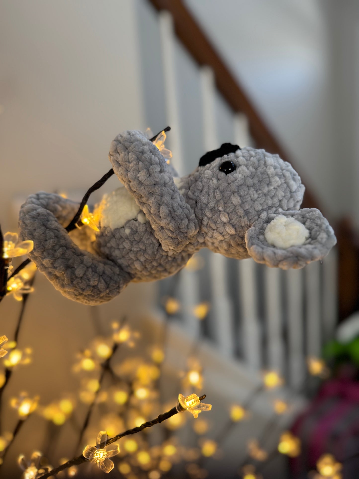 Kirby the Koala