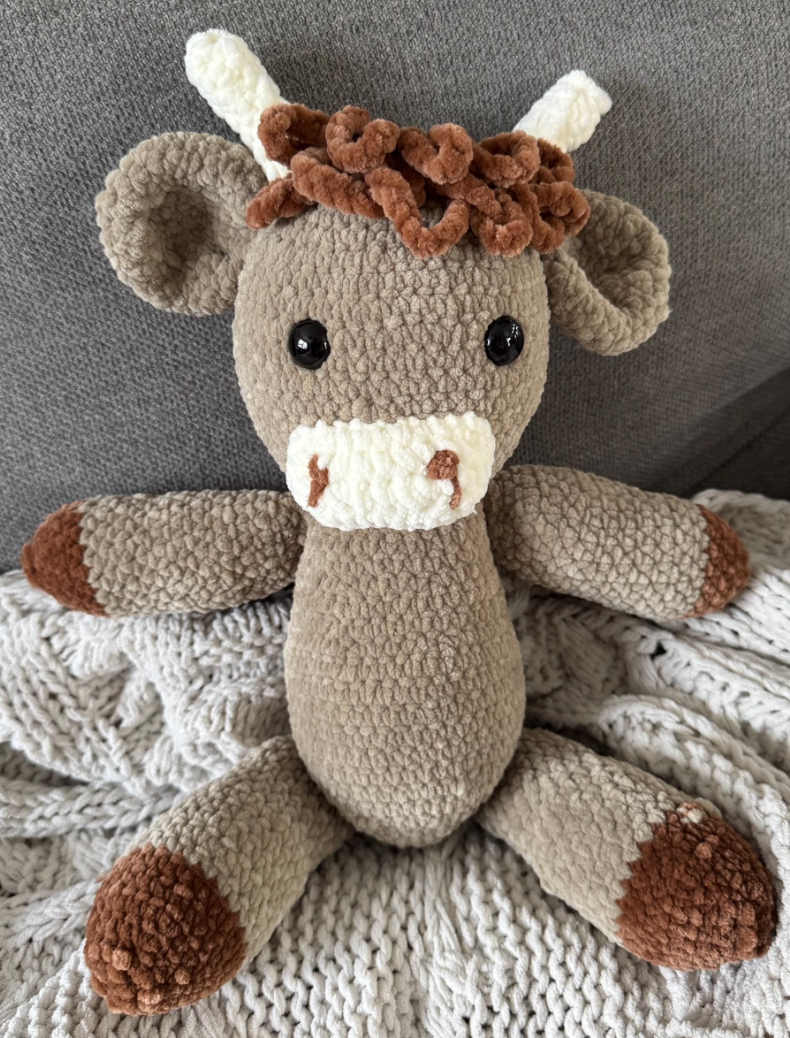 Betsy the Highland Cow