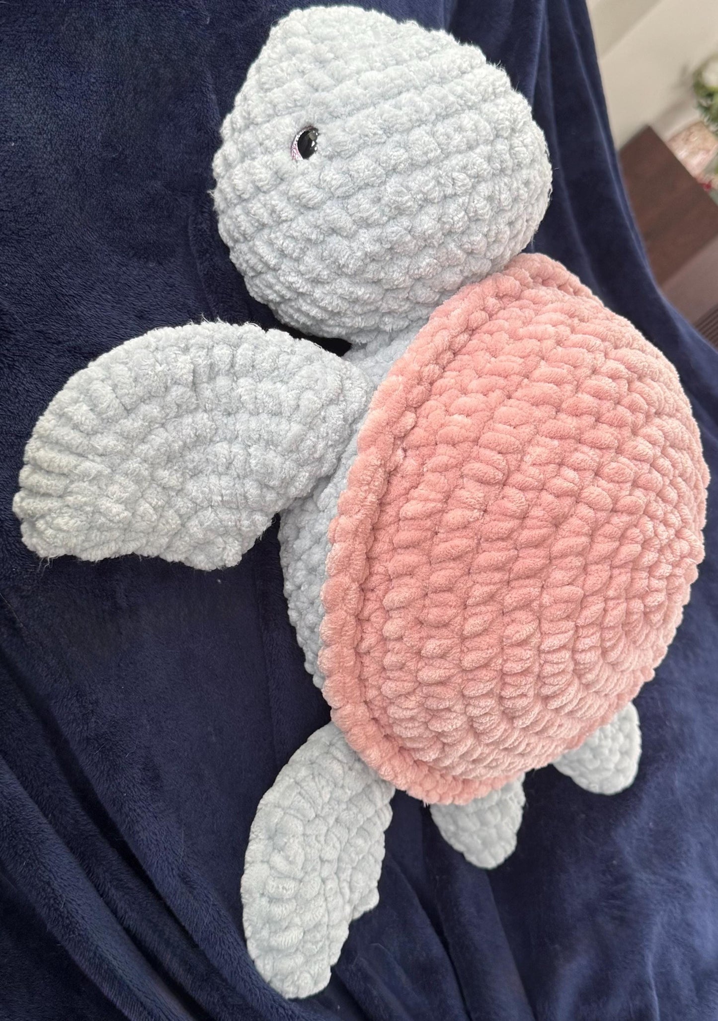 Shelley the Turtle