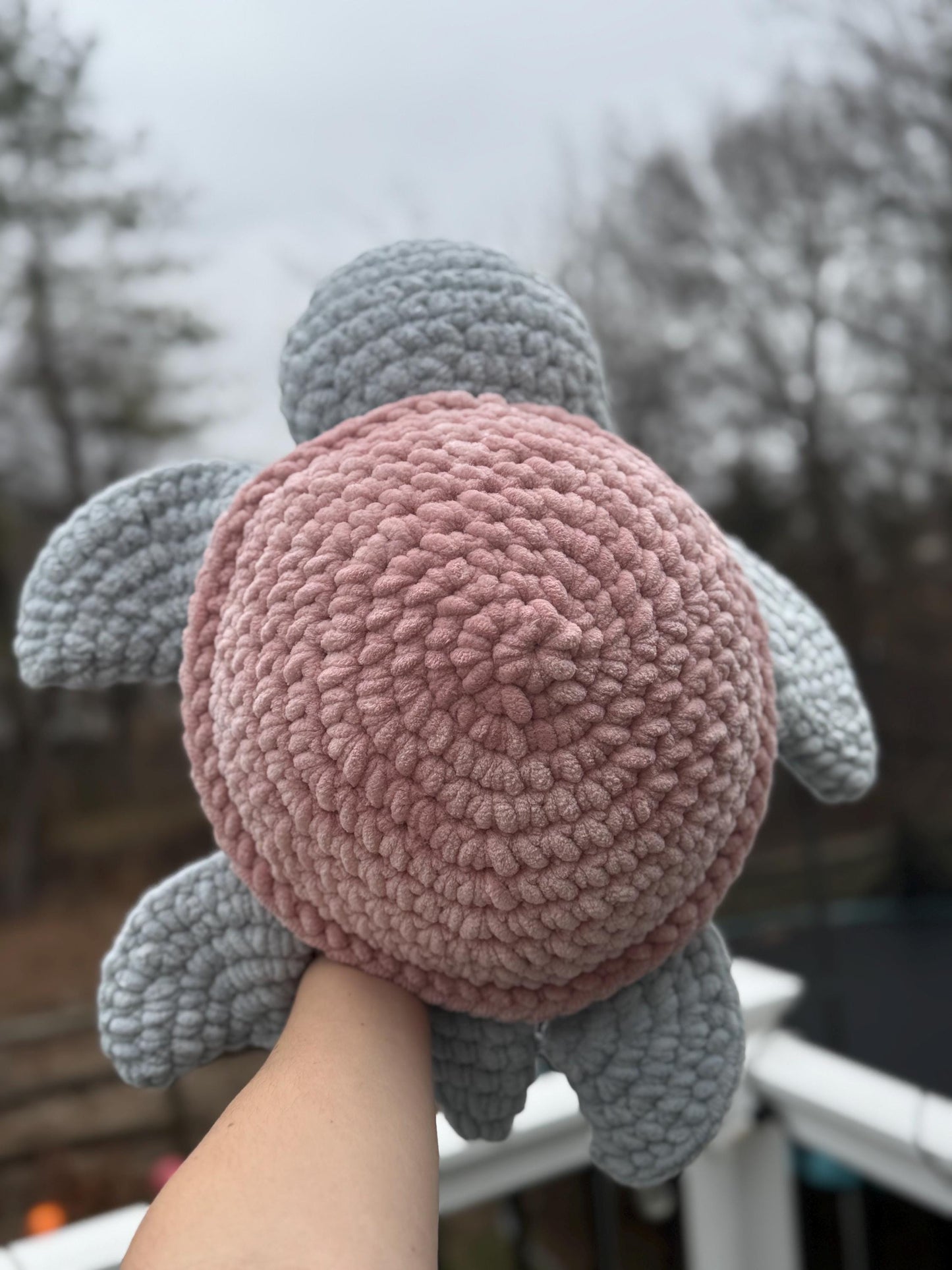 Shelley the Turtle