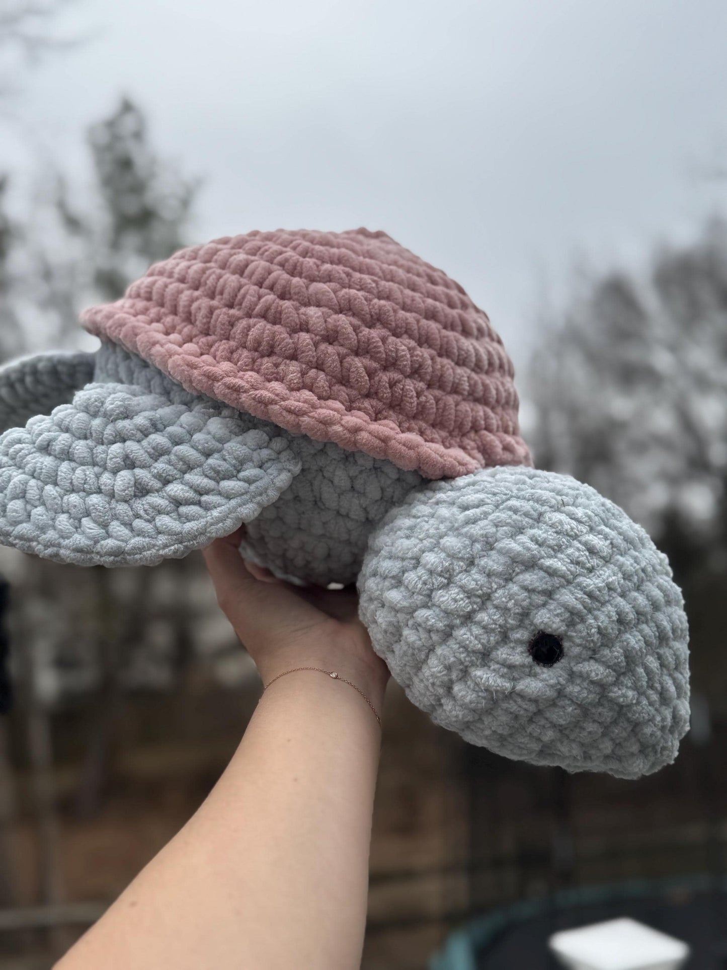 Shelley the Turtle