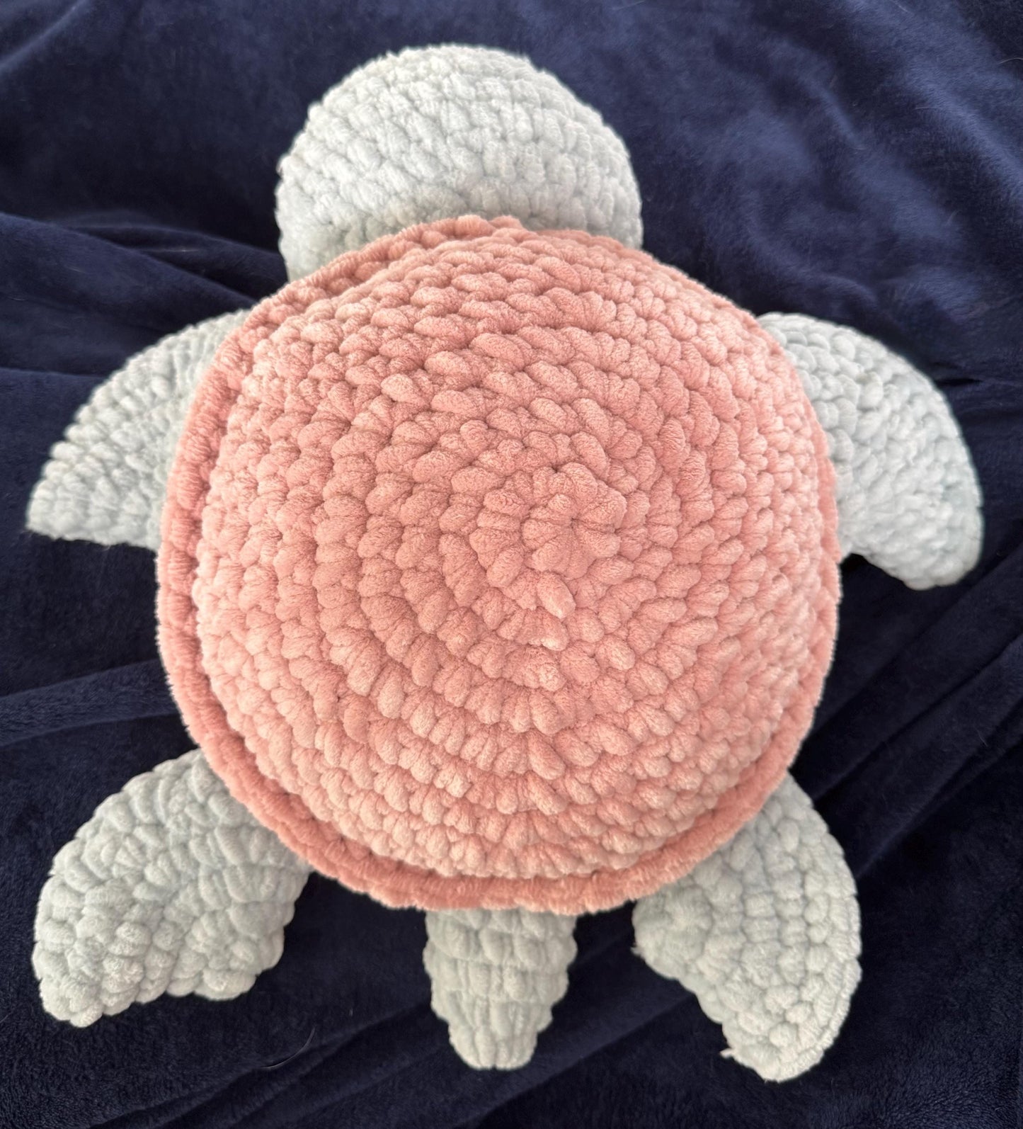 Shelley the Turtle