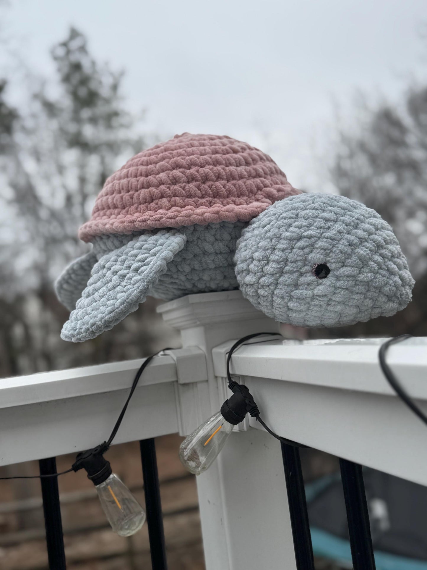 Shelley the Turtle