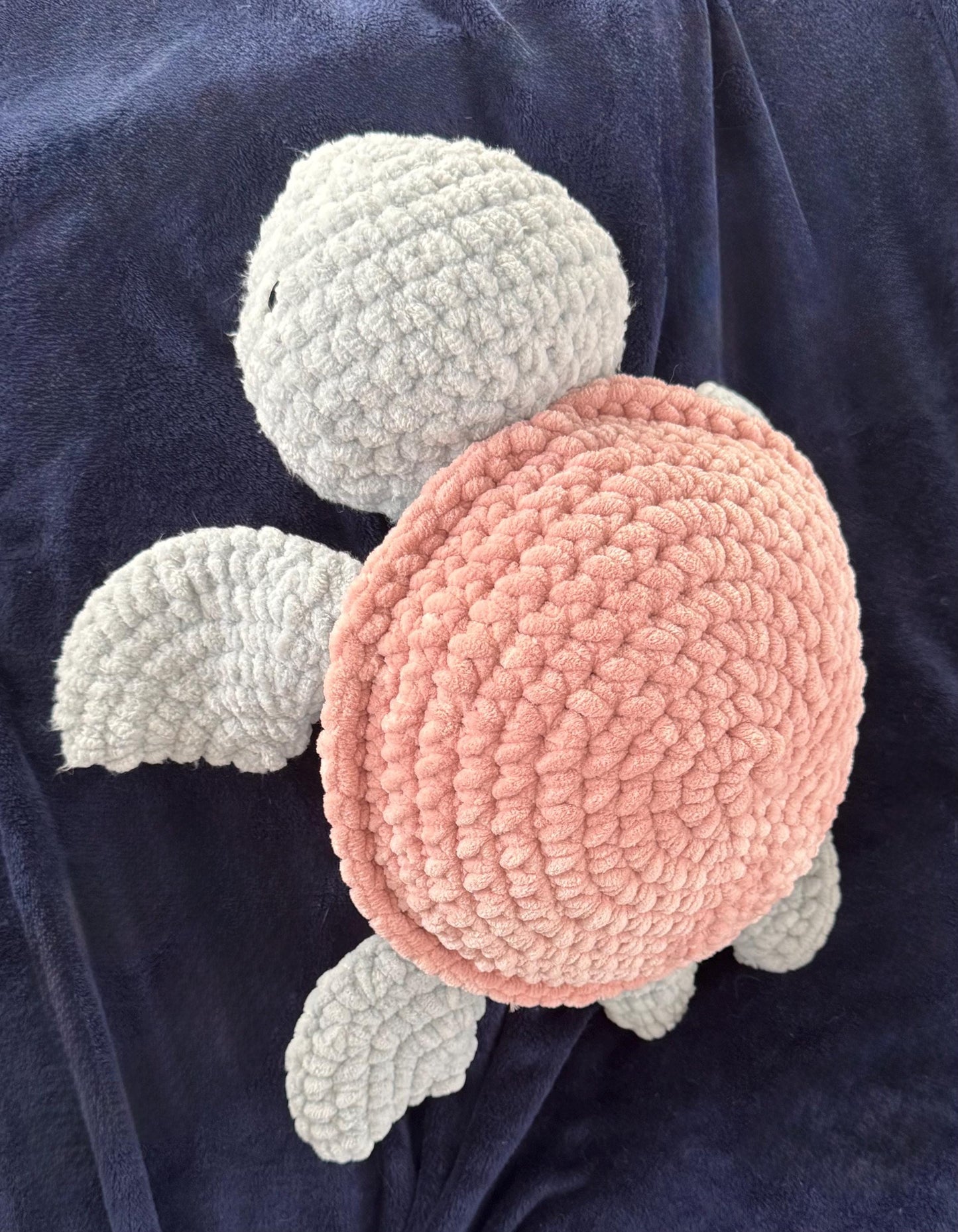 Shelley the Turtle