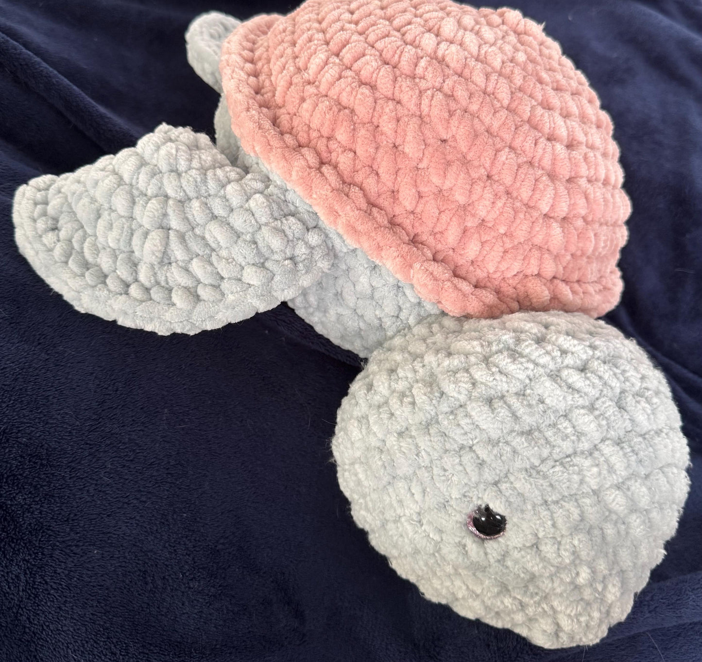 Shelley the Turtle