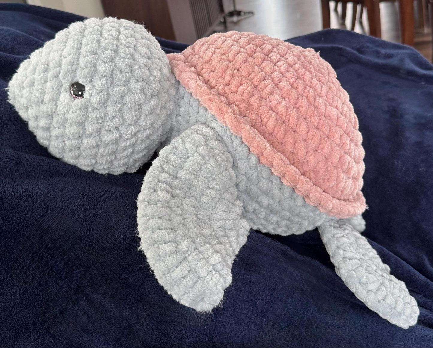 Shelley the Turtle